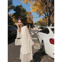 Lady Qian net red goddess fan suit female knitted vest mesh yarn polka dot dress two-piece set