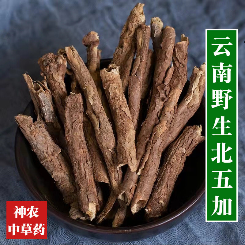 北五加皮500g,泡酒养生怎么选?🌿深度解析-五加皮-淘宝好物网