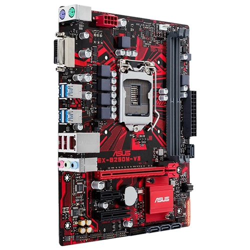 ASUS EX -B250M -V3 с G4560 4400 4500 G3930 Дайте набор FAN CPU FUN FUN