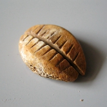 Xia and Shang period bone shell coin 20 4*15*5 9