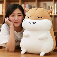 Коричневый надувание