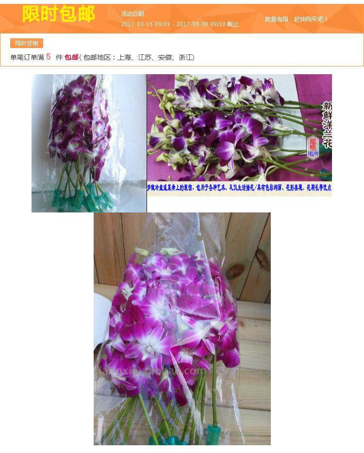 杨兰花简介,兰花图片_大山谷图库