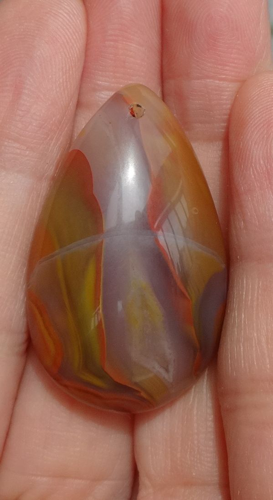 Liao Xi Natural Chiishi Sightseeing Petrochemical Stone Tree Fossil Tree Fossilized Jade North Ticket Warfare Country Red Agate Boutique Item Pendant 9376