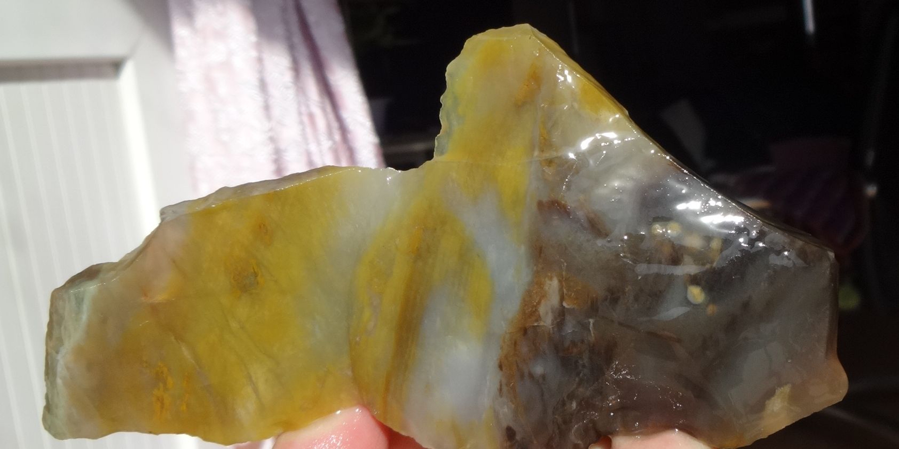Liao Xi Chaoyang Natural Wonder Stone Sightseeing Petrochemical Stone Tree Fossil Silicalized Wood Tree Chemical Jade Boutique Original Stone 9767