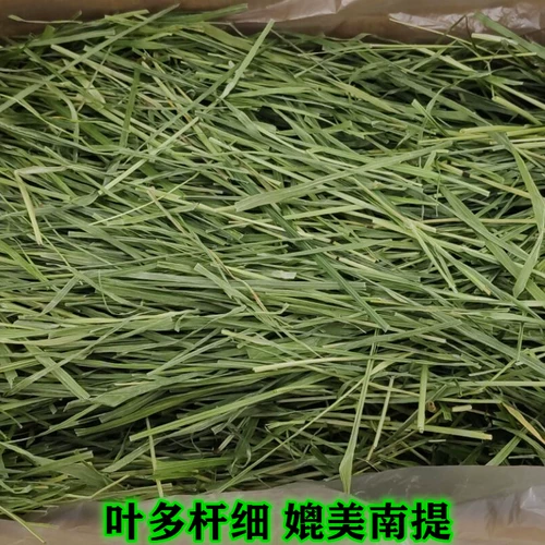 БЕСПЛАТНАЯ ДОСТАВКА 22 года высыхания Специальная зеленая тиси Cao Beiti North сопоставимо с Nanti Totoro Bunny Ruins