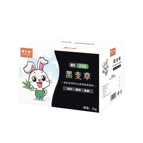 Бесплатная доставка Totoro, кролика Dorch, Dorch Tortle Tortoise, повышение питания и защищает желудочно -кишечную арт -цепа