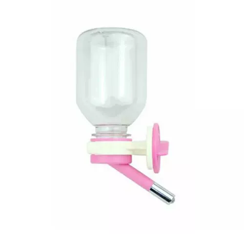 Jolly Zuli Hammel Rabbit Totoro Totoro голландские свиные домашние животные ежа ежа пить