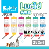 Jolly Zuli Hammel Rabbit Totoro Totoro голландские свиные домашние животные ежа ежа пить