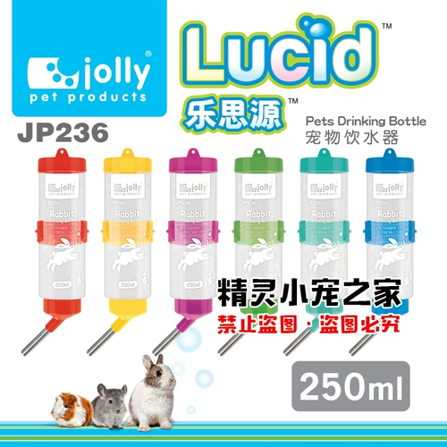 Jolly Zuli Hammel Rabbit Totoro Totoro голландские свиные домашние животные ежа ежа пить