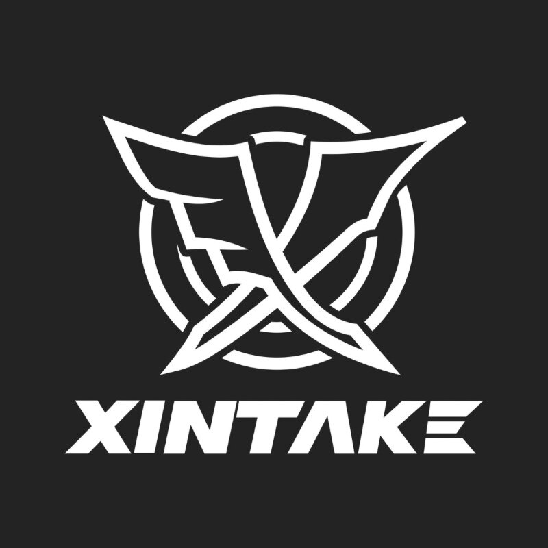 XINTAKE星碳铁三的LOGO