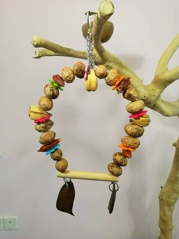 Maolin đồn vẹt lớn và vừa vẹt cắn đồ chơi trái cây tự nhiên tinh khiết đu trái cây đầy màu sắc cung cấp chim - Chim & Chăm sóc chim Supplies