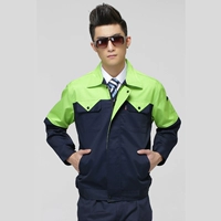 Тибетские синие фрукты зеленое плечо