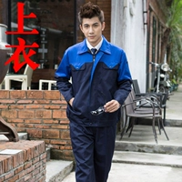 Тибетский саггал синий плечо