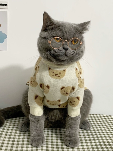 Милый брендовый зимний демисезонный утепленный удерживающий тепло пуховик, свитер, с медвежатами, осенний сезон