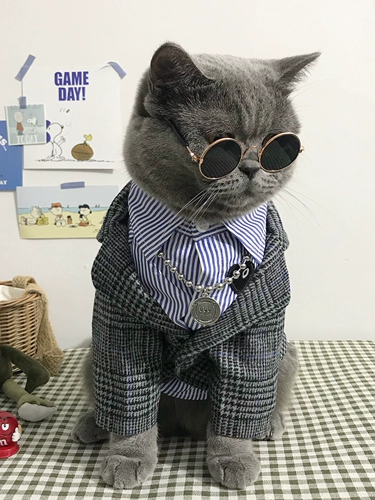 Увлекательный клетчатый костюм для любимой собаки, свадебное платье, одежда для кошачьего костюма на день рождения