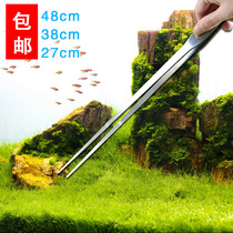 Stainless steel aquatic grass clip fish tank landscape tool straight bend clip fleshy planting turtle reptile feeding clip super long tweezers