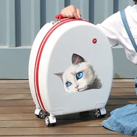 Коробочка с белым меланхоличным котом