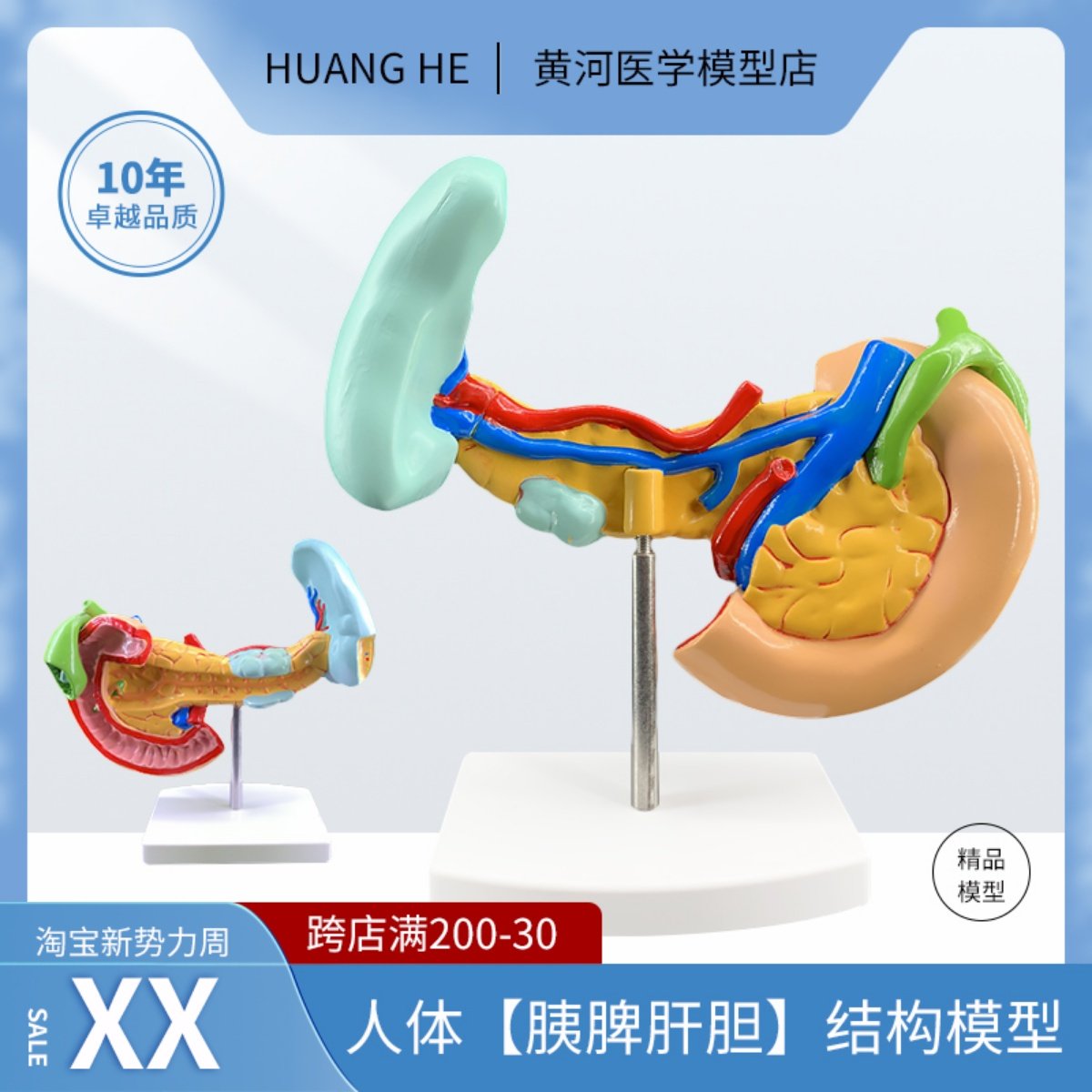 病变胰脾肝胆十二指肠模型病理标本胰脾肝胆人体器官解剖教学模型