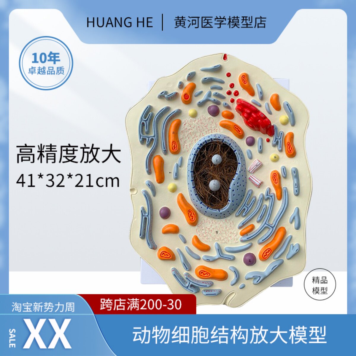 动物细胞亚显微结构模型动物医院演示摆件学校生物教学教具细胞壁