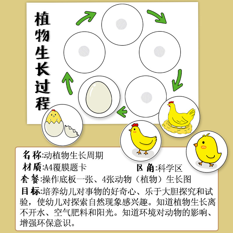 幼儿园科学区域逻辑游戏教玩具动植物成长周期观察生长过程包邮