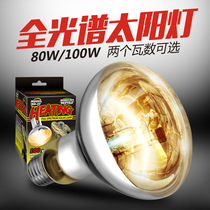 Reptile pet full spectrum sun lamp tortoise mane lion lizard rutin chicken basking uvb uva calcium supplement insulation heating lamp