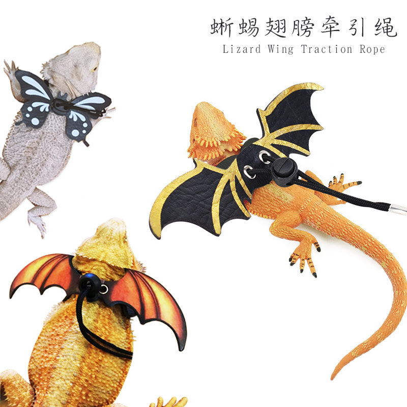 Climbing pet lion maned lion lizard out towing rope