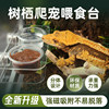 Reptile giant R genus gecko transparent hanging magnetic puree water basin feeder arboreal double basin