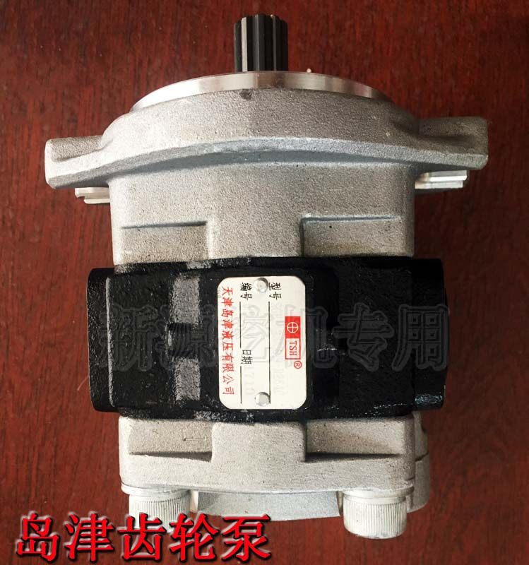Yuanshan Xinyuan 65 75 wheel excavator hydraulic gear pump Tianjin Daojin walking pump high pressure oil pump