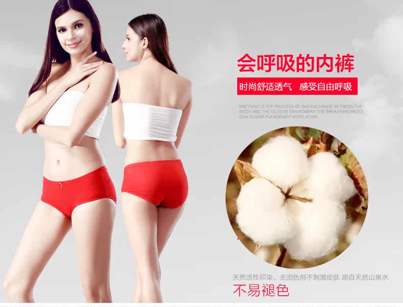 Slip jeunesse 9328-4 en coton - Ref 640977 Image 8