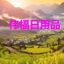 伟福日用品