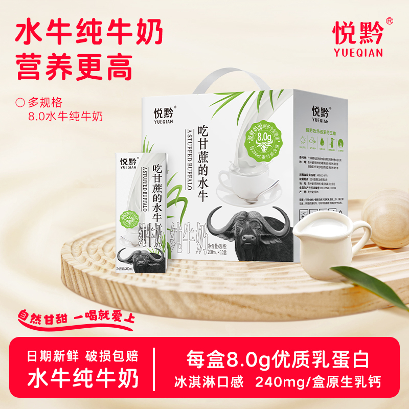 Yueqian Buffalo Milk from Sugarcane-Feeding Buffaloes, Pure Milk for Children's Growth, Students, and Adults, Nutritional Breakfast Pure Milk