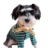 Домашние животные поставляют треугольные шарфы для домашних животных собак, борющихся с кошками и снежными нару