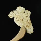 Атрактилоды китайская медицина 500G Подличная пирамодерсера пиноскопия септера сливы Санбай Отказ от порией планета белая страсть солодка байджи