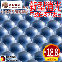 Desen Pile spray matte semi-matte gloss oil transparent colored pseudo-plating paint cold baking paint