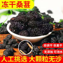 Xinjiang black mulberry dry freeze-dried mulberry dry black mulberry dry black mulberry free of sand and large grain ready-to-eat zero-eating bubble water to drink