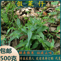 Freshly picked Chaoshan Qingcaohui fake cabbage mung bean grass wild rapeseed wild cabbage Zaitang kudzu cabbage leeks Jiang scissor vegetables