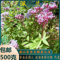 Freshly picked Chaoshan green grass Peilan grass water-flavored chicken bone round-branched fragrant orchid one-horned golden elephant green lining seedlings
