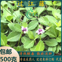 Freshly picked Chaoshan green herbal medicine river vine yellow celery iron pole iron batch and pineapple.