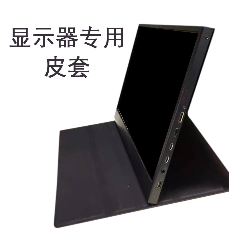 Display dedicated holster