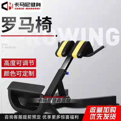 Commercial gym experts use Roman chair trainer back lumbar muscle Roman stool goat stand up fitness equipment