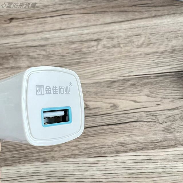 Jinjia Baiye USB Charger Tablet Travel Portable Straight Pin Mini Head Suitable for Apple Samsung 1A