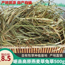 Minxian plateau oat grass 500 grams returned to the township pet Hay rabbit chinchillo pasture Dutch pig grain 4kg