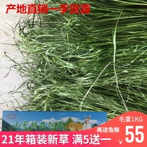 Timothy Hay Gansu Minxian County drying Beiti pet grass Dutch pig guinea pig grain rabbit feed pasture