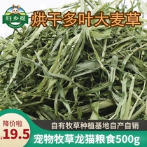 Barley hay drying bag home tender green rabbit grass guinea pig snacks chinchillas Hay Pet Pasture