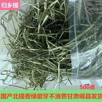 ti mo xi cao Gansu province homecoming to semi-drying mention grass guinea pig food grain guinea pig feed North mention Hay