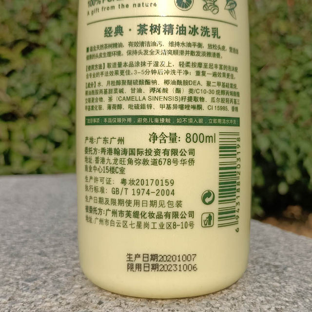 Taiwan Ginger Shampoo Oil Control Anti-hair Loss Seborrheic Ice Therapy Mint Refreshing Classic Tea Tree Essential Oil Wash Ice