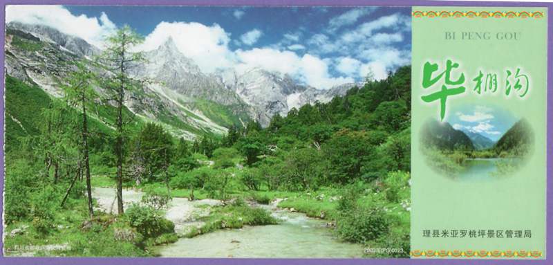 0976 Old Ticket Collection - Sichuan Bishengguo Post Ticket 2003 Chuan 0123 single coupon item is good