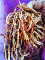 Wa flavor vegetable root tile flavor big leek root root cabbage spicy vegetable root spicy vegetable root Dehong specialty hot and sour spicy mustard root