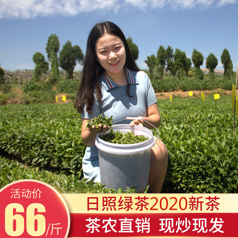 Shandong Rizhao Green Tea 2021 new tea bulk premium 500g fragrant tea leaves Mingqian Spring Tea fried green gift box