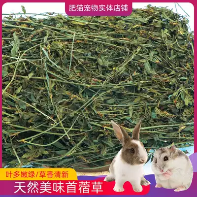 Alfalfa 350g Hay Chinchilla snack feed purple flower Bungey rabbit grain pet molar Chinchilla Dutch pig feed